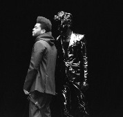 Mike Levy aka Gesaffelastein